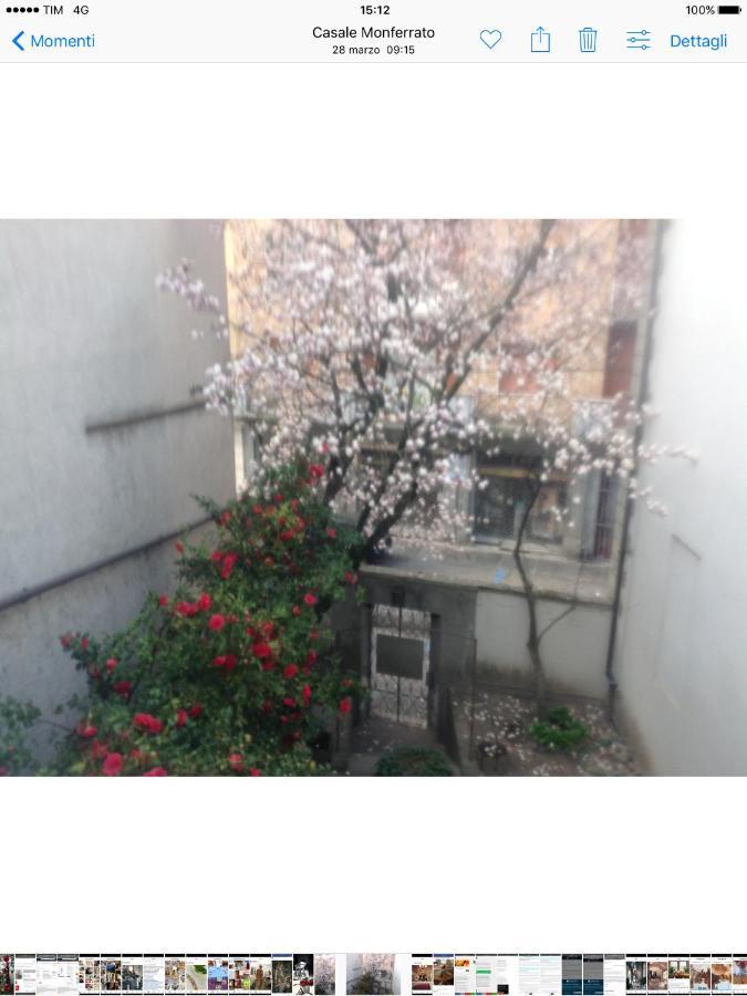 Magnolia Bed & Breakfast Casale Monferrato Exterior photo